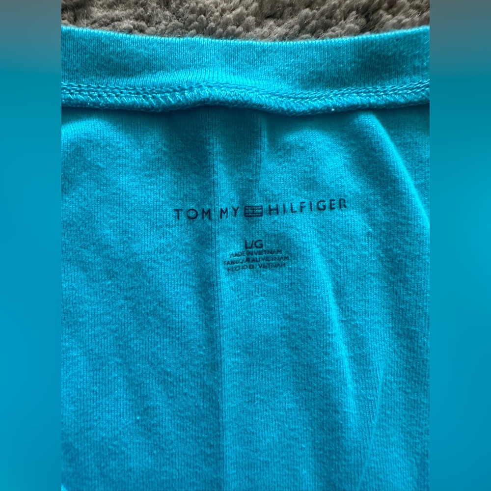 Tommy Hillfiger V neck blue basic tee size L - Picture 4 of 4